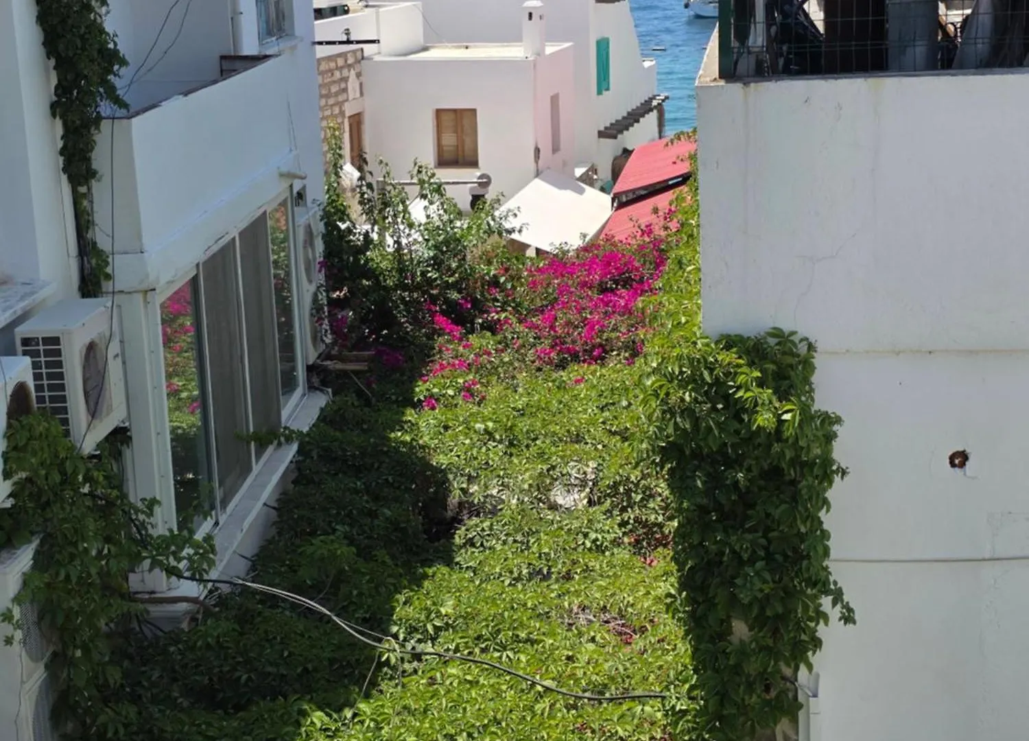 Hostel The Cranberries Bodrum